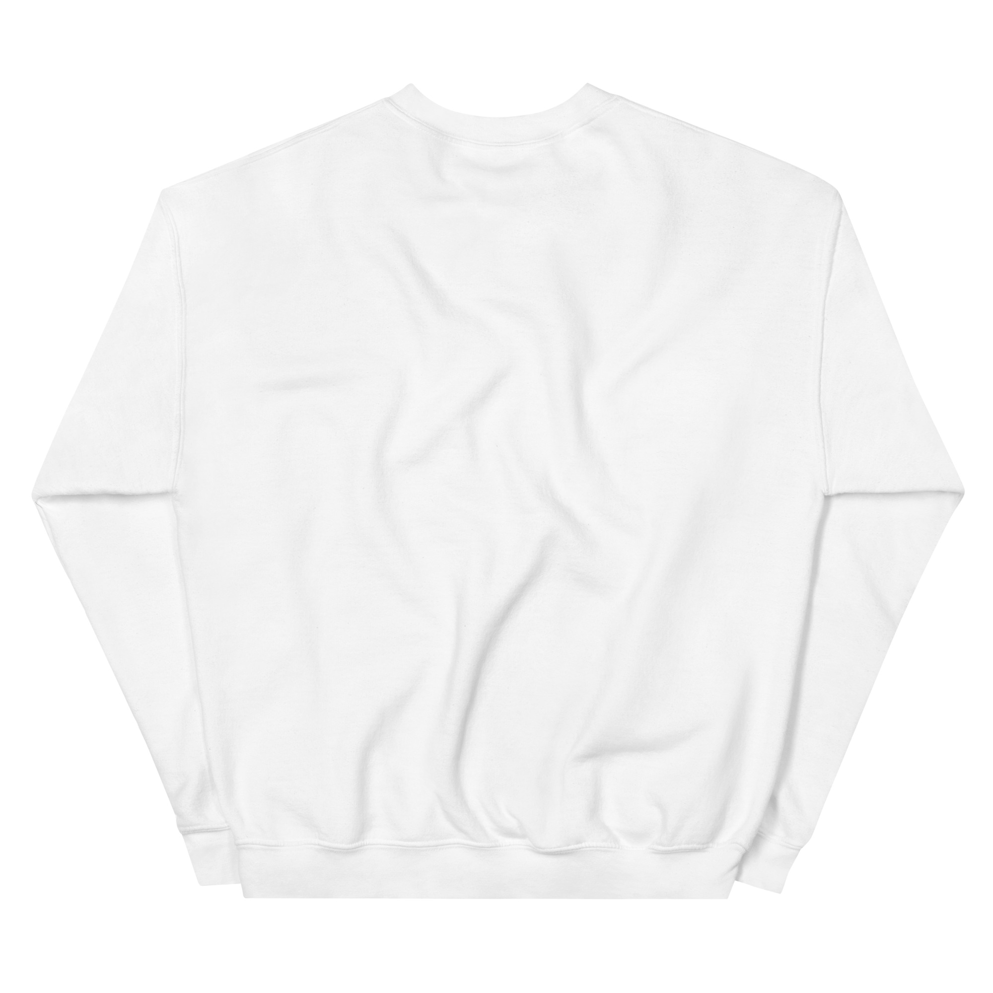 unisex-crew-neck-sweatshirt-white-back-677cfa2d5f65b.jpg