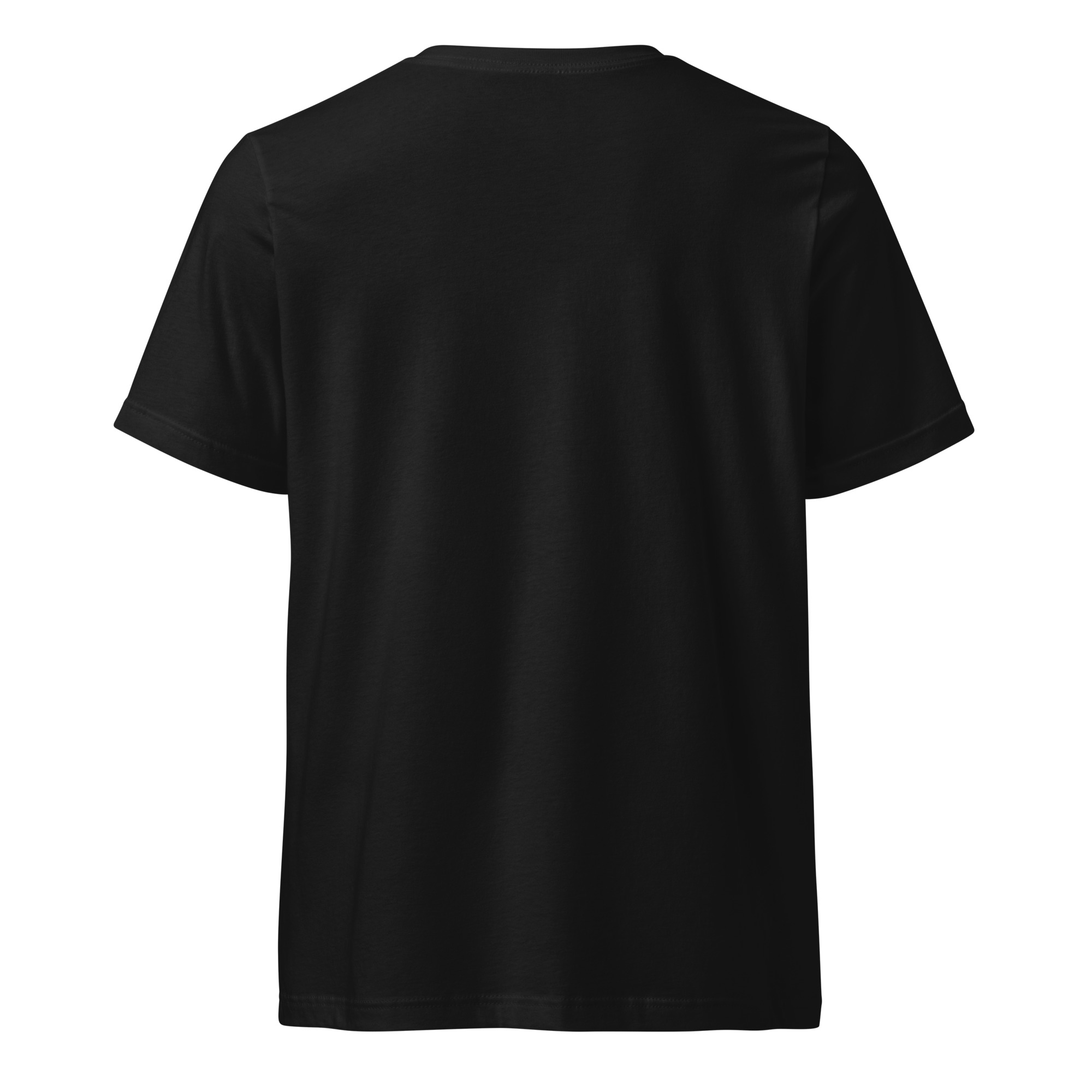 unisex-v-neck-tee-black-back-6821968fa777e.jpg