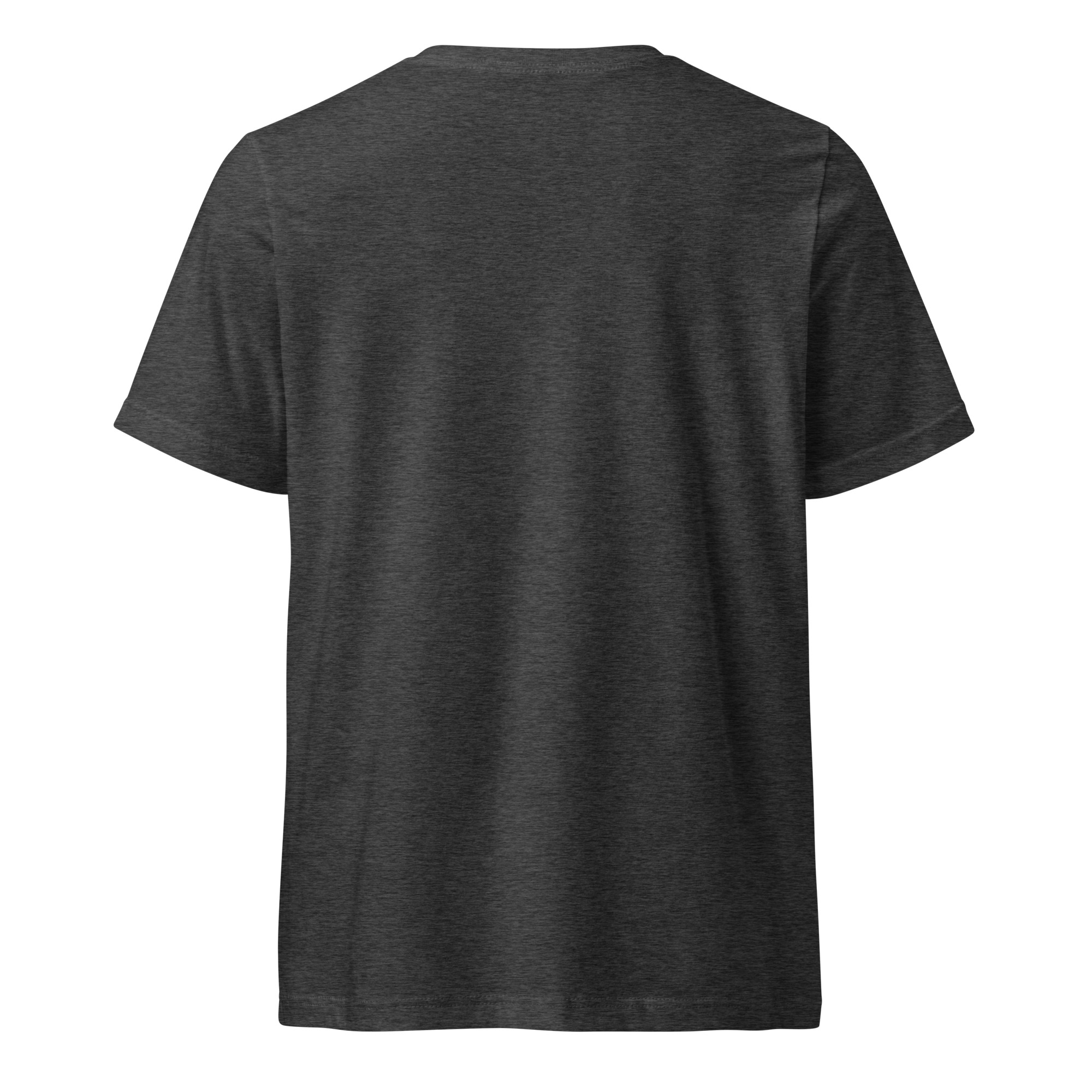 unisex-v-neck-tee-dark-grey-heather-back-6821968fab0fd.jpg