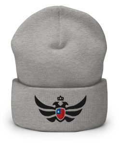 Taiwan Shield <br> Black Eagle Cuffed Beanie