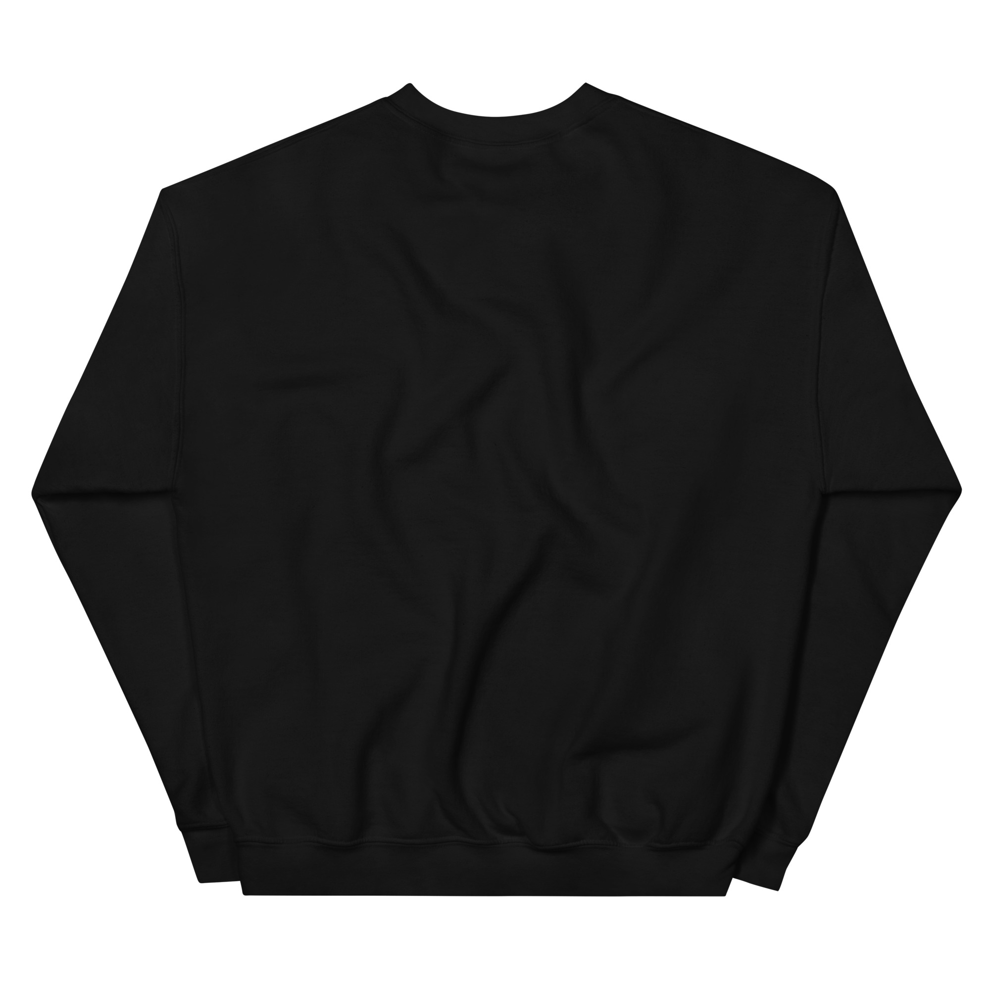 unisex-crew-neck-sweatshirt-black-back-69032e408174a.jpg