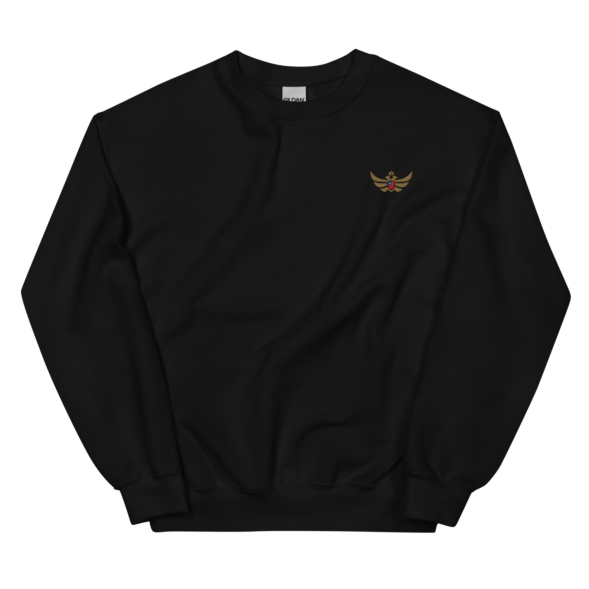 unisex-crew-neck-sweatshirt-black-front-69032e4080cc5.jpg