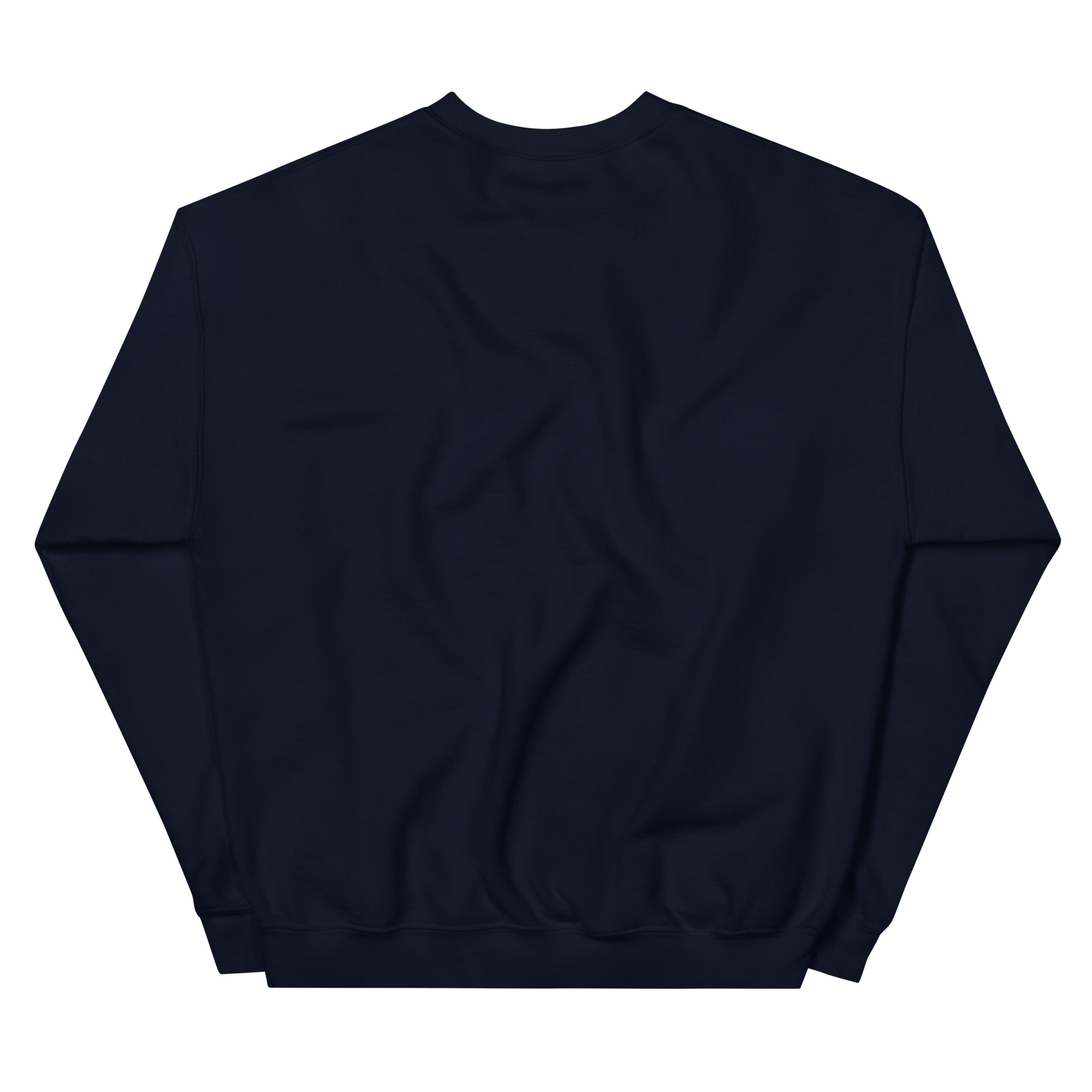 unisex-crew-neck-sweatshirt-navy-back-69032f6f2e603.jpg