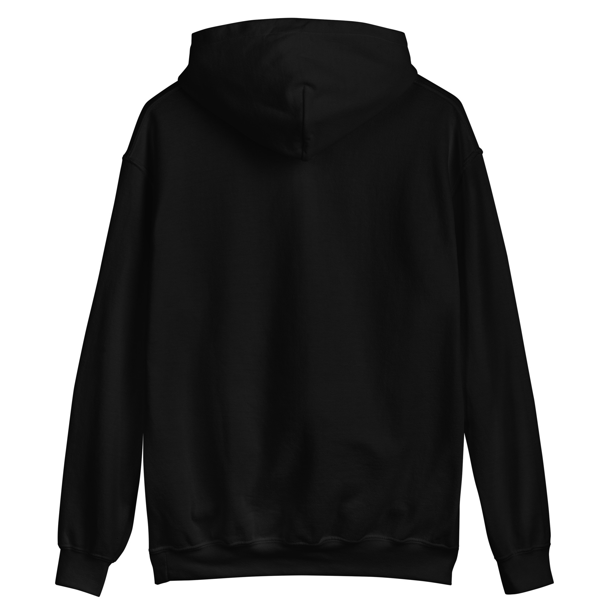 unisex-heavy-blend-hoodie-black-back-68f77eadeb855.jpg