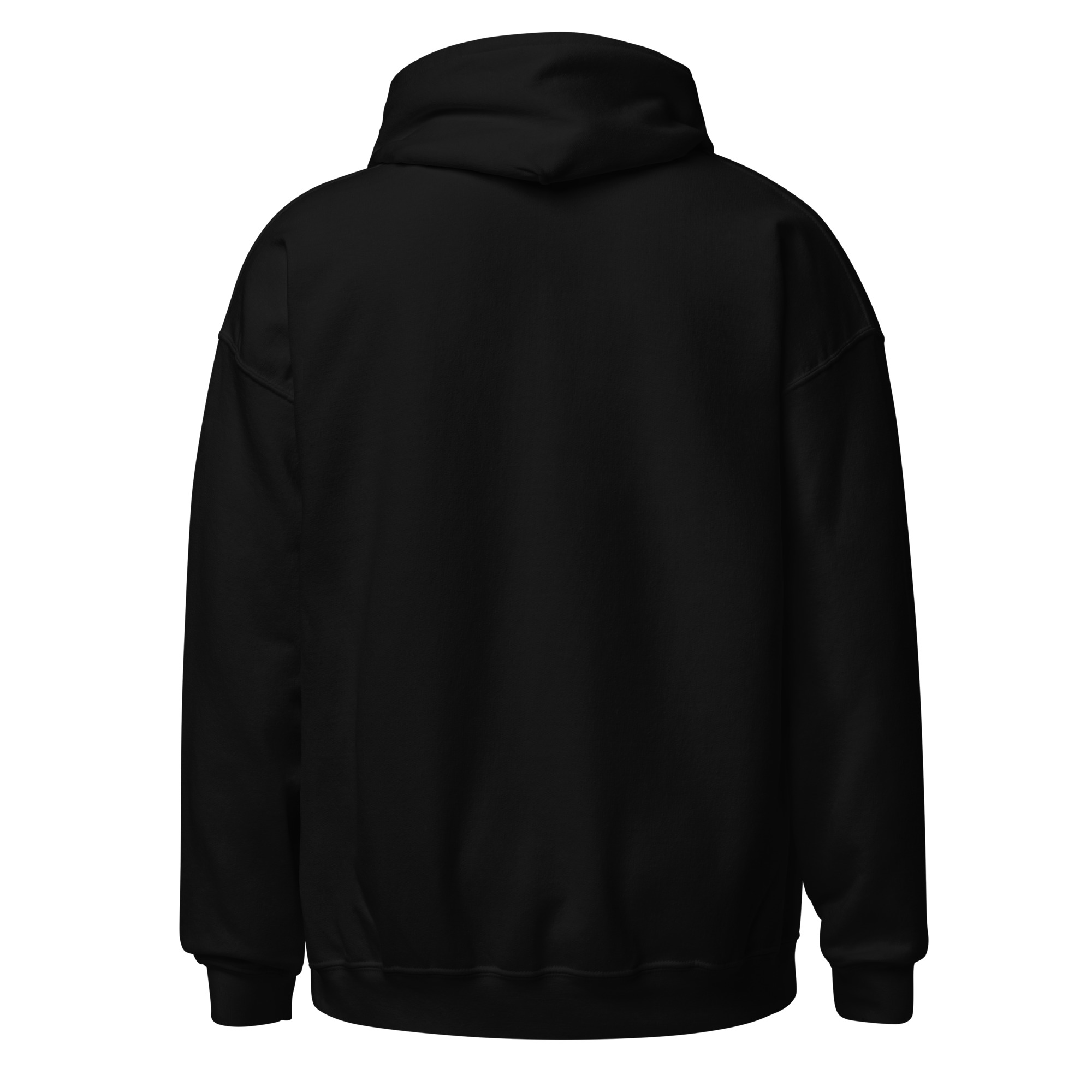 unisex-heavy-blend-hoodie-black-back-6903333eaf4f1.jpg