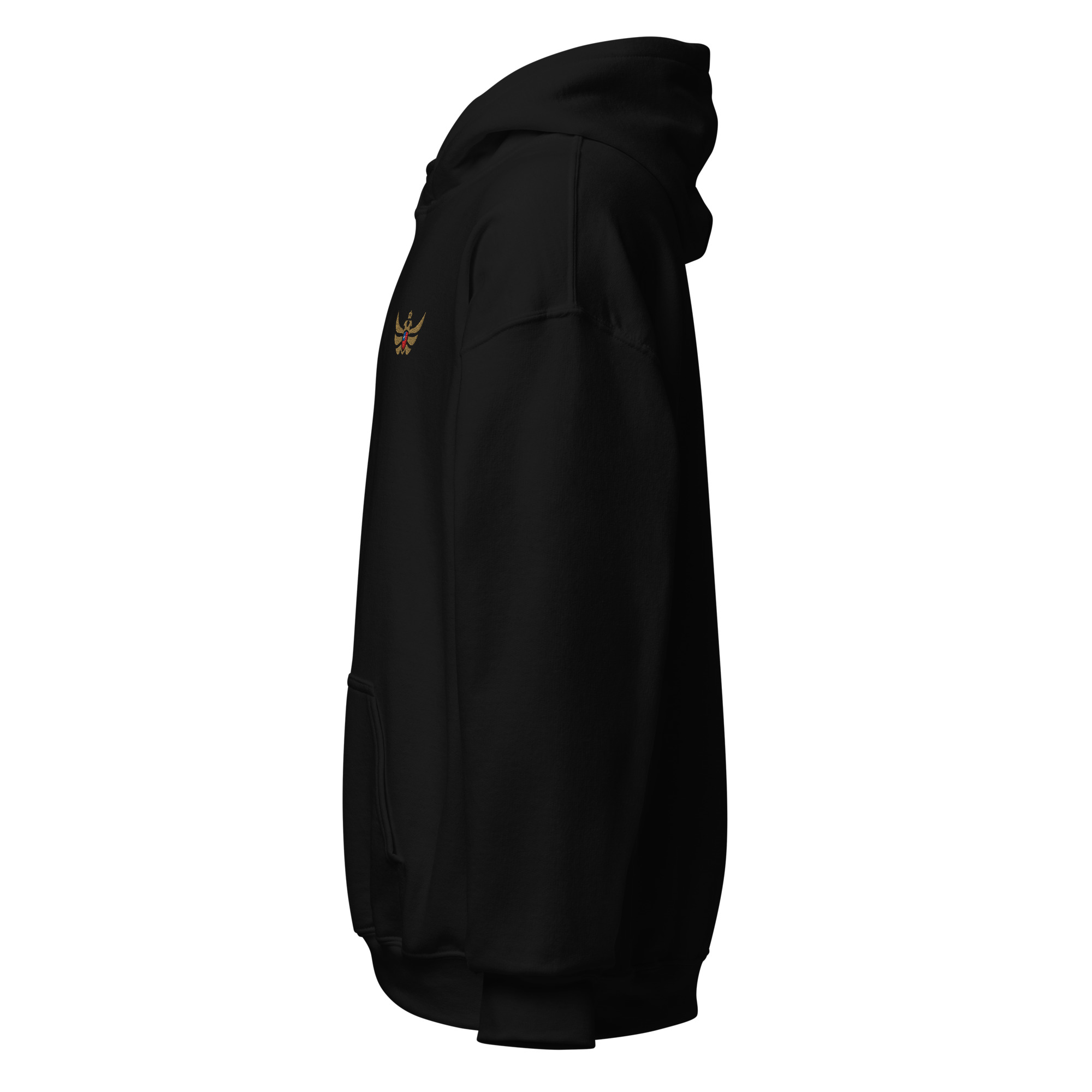 unisex-heavy-blend-hoodie-black-left-6903333eae4b9.jpg