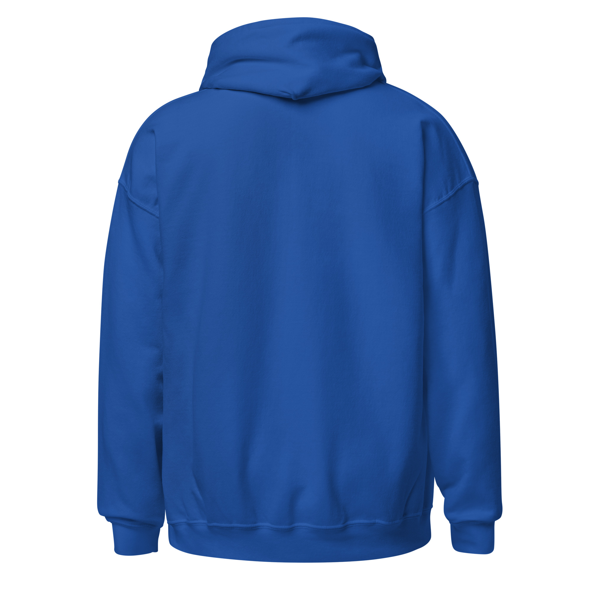 unisex-heavy-blend-hoodie-royal-back-68e64387f0097.jpg