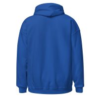 unisex-heavy-blend-hoodie-royal-back-68e7a4bfe3857.jpg
