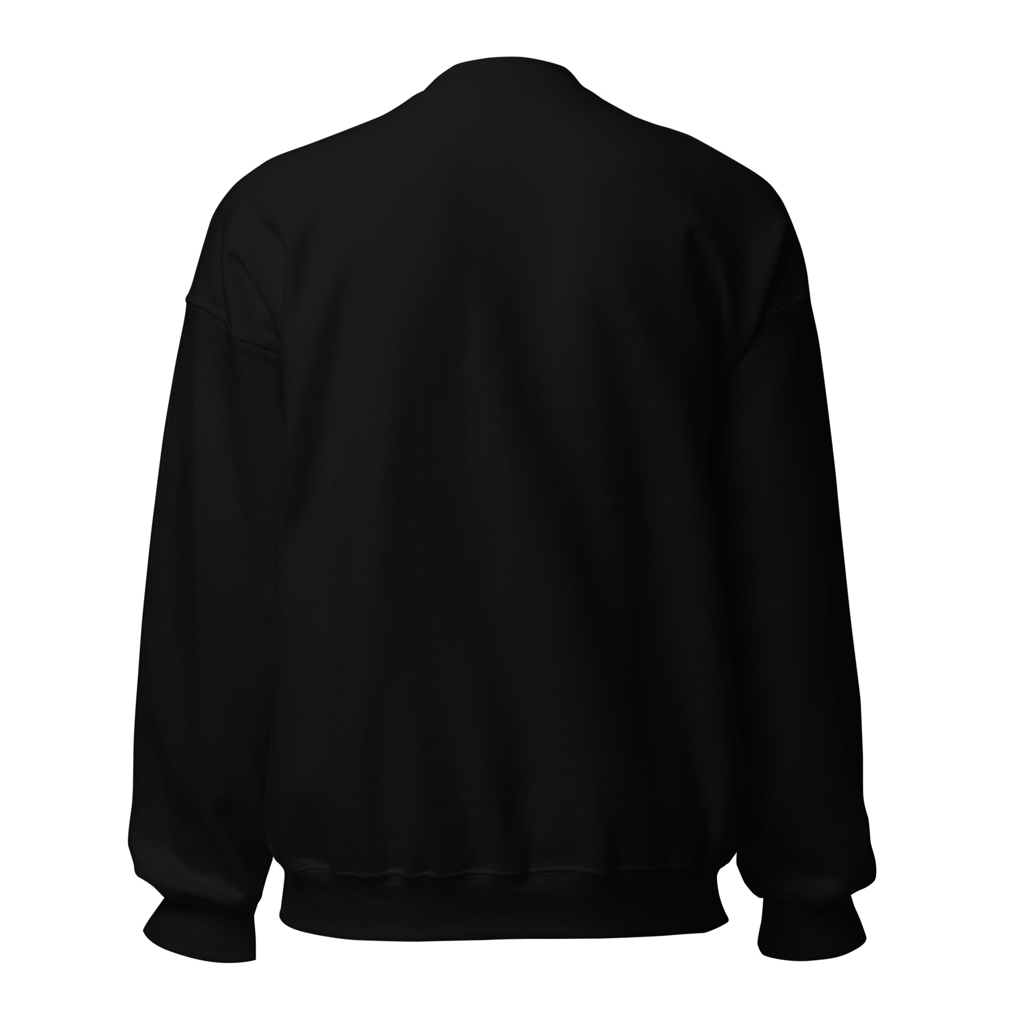 unisex-crew-neck-sweatshirt-black-back-69832964c7932.jpg