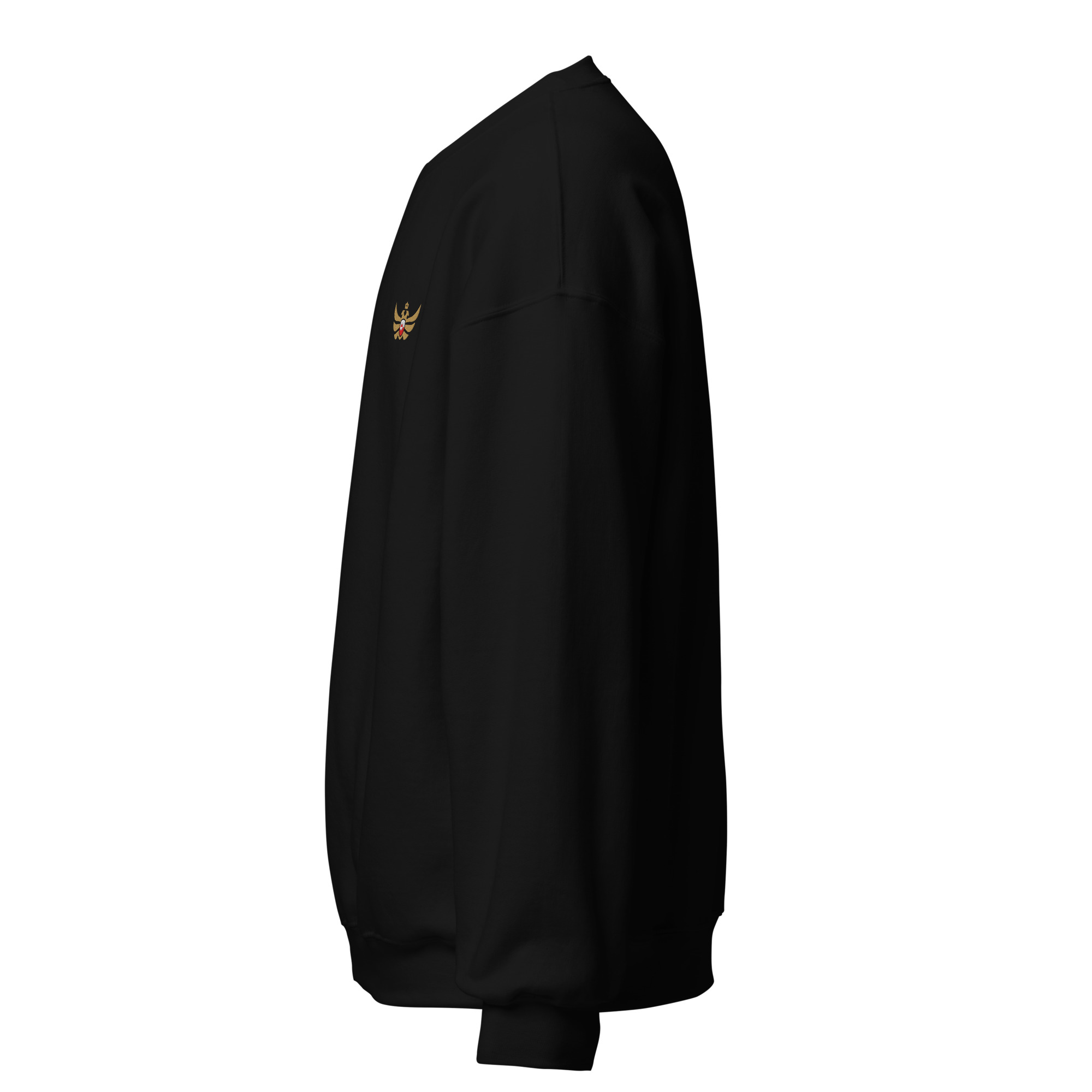 unisex-crew-neck-sweatshirt-black-left-69832964c8292.jpg