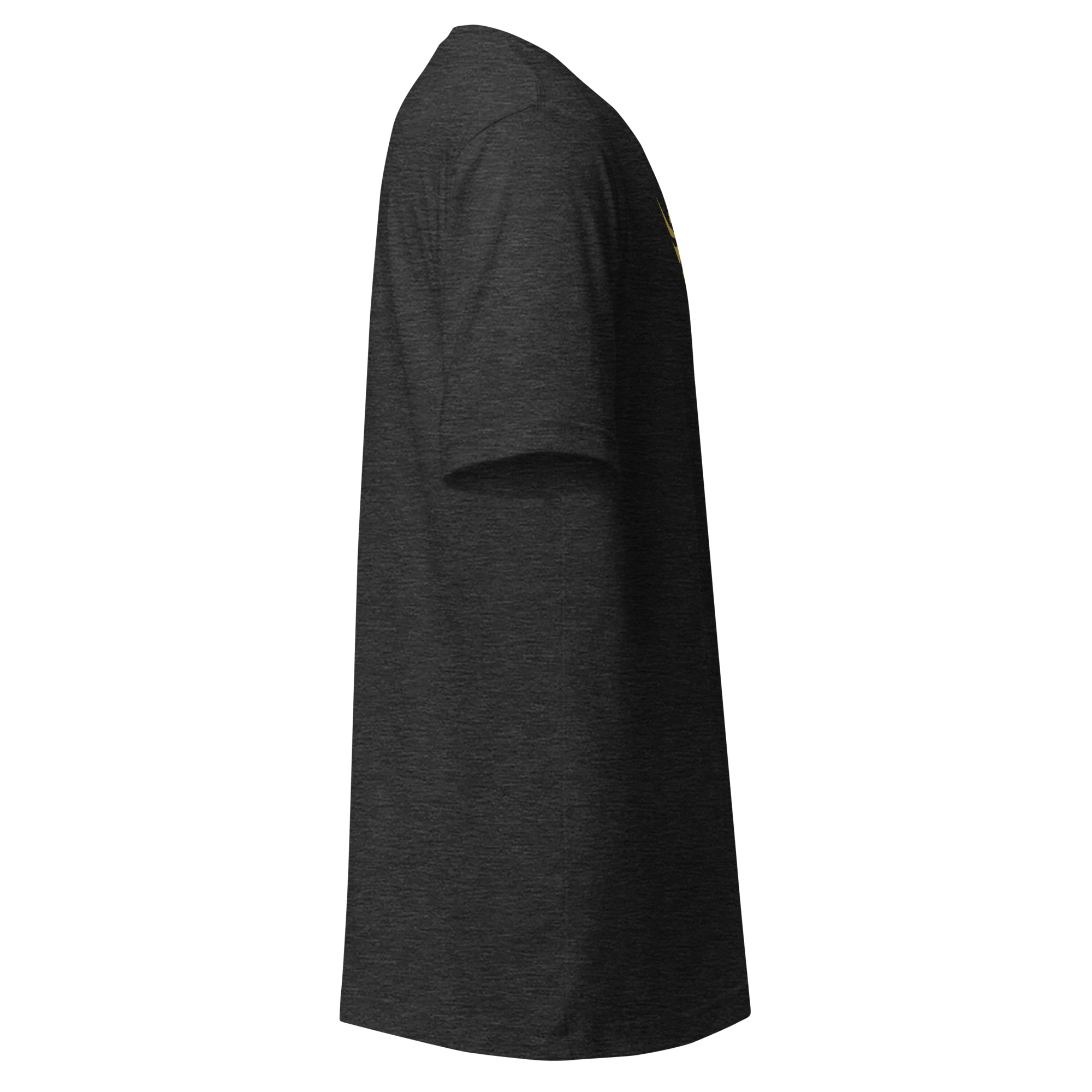 unisex-staple-t-shirt-dark-grey-heather-right-69832cd2a0017.jpg