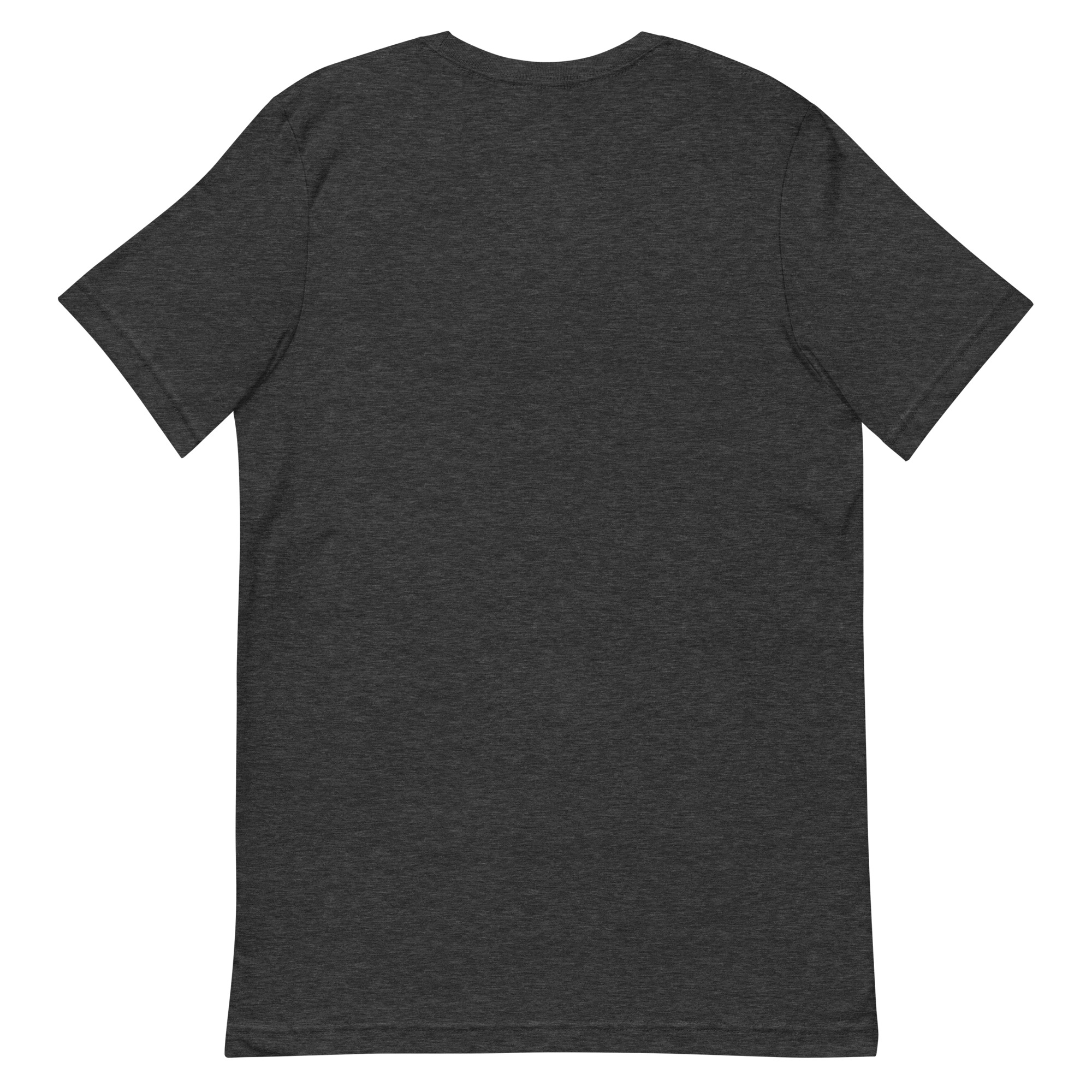 unisex-staple-t-shirt-dark-grey-heather-back-6ab63b0467625.jpg